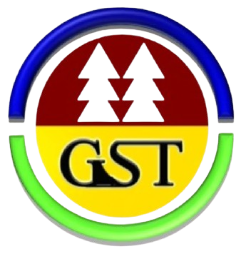 GST Logo